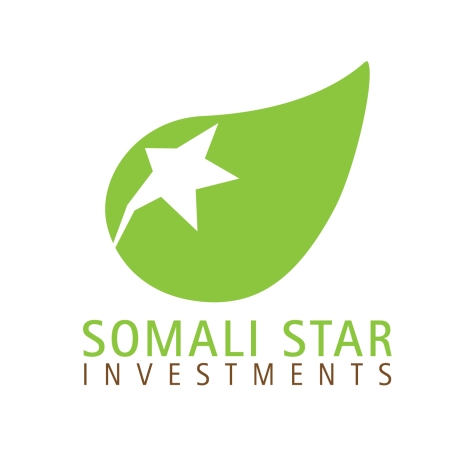 Somali Star Investments Logo Design